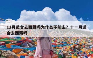 11月适合去西藏吗为什么不能去？十一月适合去西藏吗