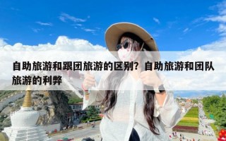 自助旅游和跟团旅游的区别？自助旅游和团队旅游的利弊