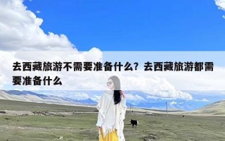 去西藏旅游不需要准备什么？去西藏旅游都需要准备什么