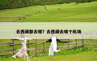 去西藏都去哪？去西藏去哪个机场