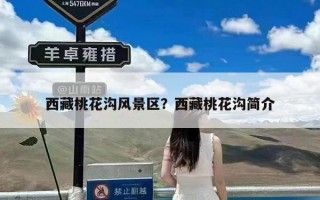 西藏桃花沟风景区？西藏桃花沟简介