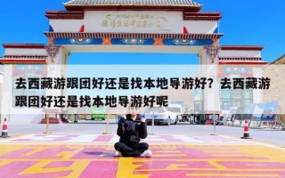 去西藏游跟团好还是找本地导游好？去西藏游跟团好还是找本地导游好呢