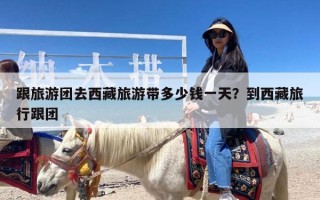 跟旅游团去西藏旅游带多少钱一天？到西藏旅行跟团