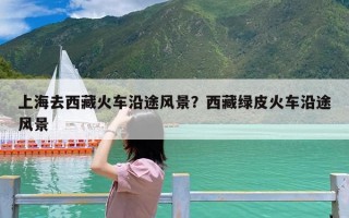 上海去西藏火车沿途风景？西藏绿皮火车沿途风景