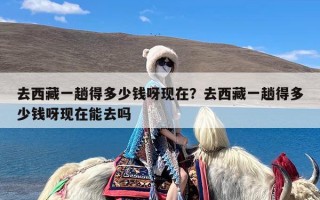 去西藏一趟得多少钱呀现在？去西藏一趟得多少钱呀现在能去吗