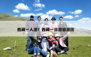 西藏一人游？西藏一日游旅游团
