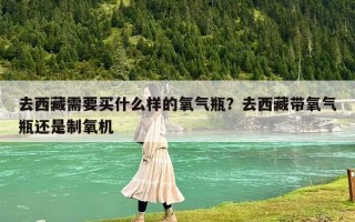 去西藏需要买什么样的氧气瓶？去西藏带氧气瓶还是制氧机