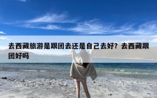去西藏旅游是跟团去还是自己去好？去西藏跟团好吗