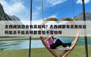 去西藏旅游会有高反吗？去西藏都有高原反应吗能去不能去呀都害怕不害怕呀