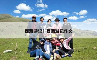 西藏游记？西藏游记作文