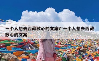 一个人想去西藏散心的文案？一个人想去西藏散心的文案