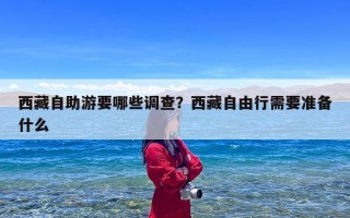 西藏自助游要哪些调查？西藏自由行需要准备什么