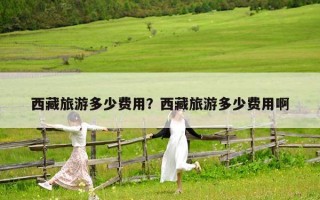西藏旅游多少费用？西藏旅游多少费用啊
