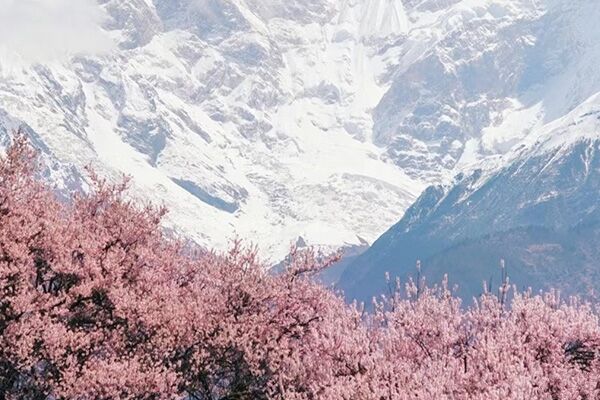 QQ图片20231120172030.jpg QQ图片20231120172030.jpg