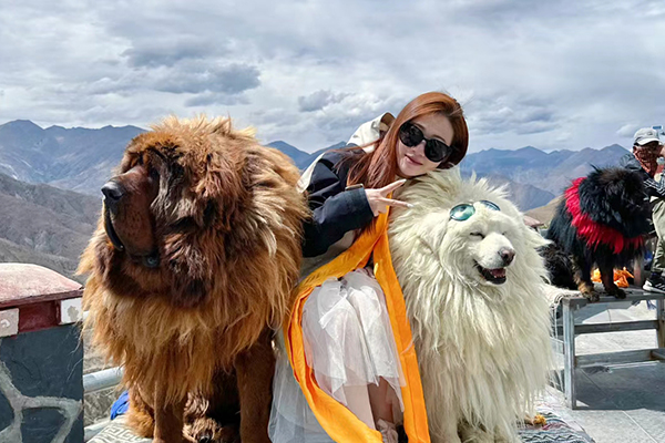 四月三人到西藏旅游多少钱