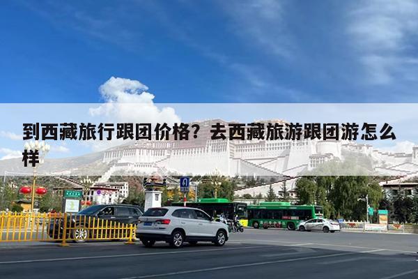 到西藏旅行跟团价格?去西藏旅游跟团游怎么样