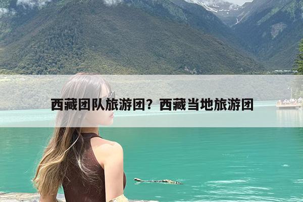 西藏团队旅游团?西藏当地旅游团