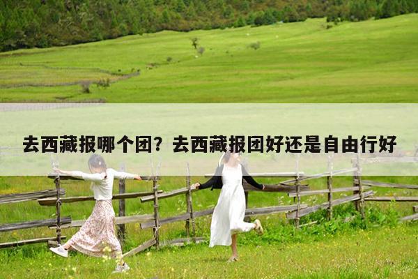 去西藏报哪个团?去西藏报团好还是自由行好