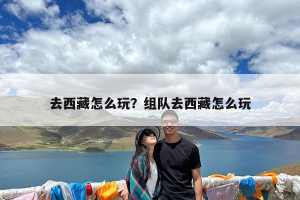 去西藏怎么玩?组队去西藏怎么玩