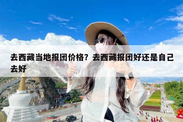 去西藏当地报团价格?去西藏报团好还是自己去好