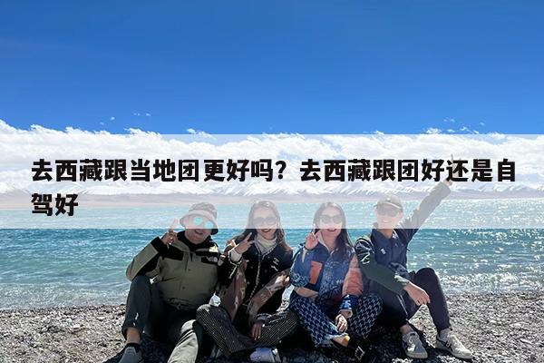 去西藏跟当地团更好吗?去西藏跟团好还是自驾好