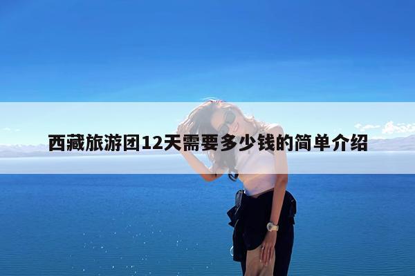 西藏旅游团12天需要多少钱的简单介绍