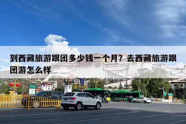 到西藏旅游跟团多少钱一个月?去西藏旅游跟团游怎么样