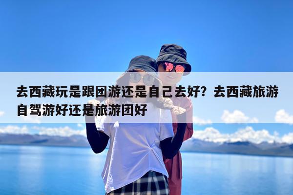 去西藏玩是跟团游还是自己去好?去西藏旅游自驾游好还是旅游团好