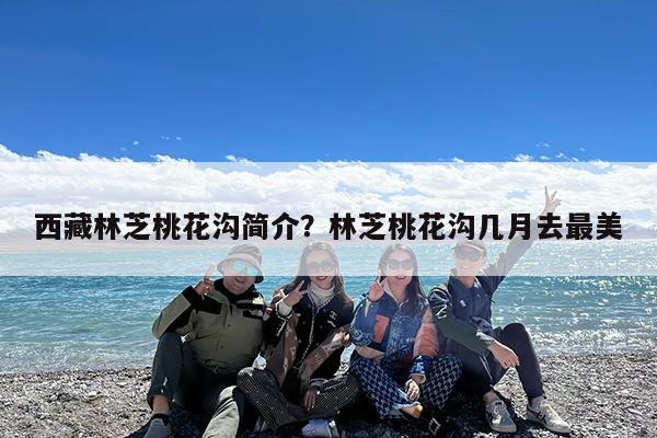 西藏林芝桃花沟简介?林芝桃花沟几月去最美