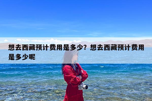 想去西藏预计费用是多少?想去西藏预计费用是多少呢