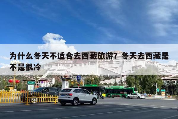 为什么冬天不适合去西藏旅游?冬天去西藏是不是很冷