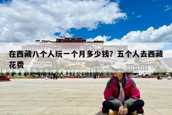 在西藏八个人玩一个月多少钱?五个人去西藏花费