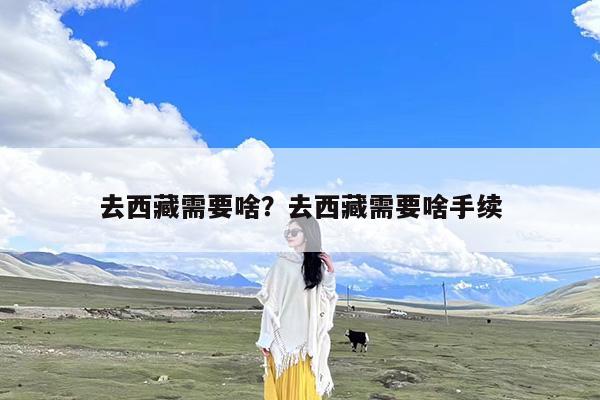 去西藏需要啥?去西藏需要啥手续