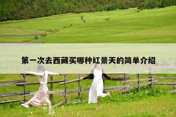 第一次去西藏买哪种红景天的简单介绍