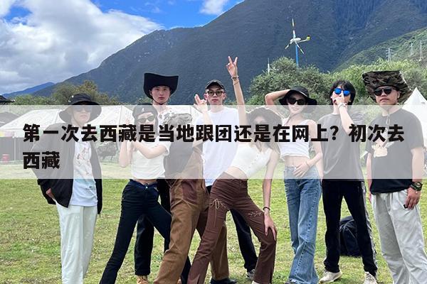 第一次去西藏是当地跟团还是在网上?初次去西藏
