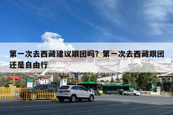 第一次去西藏建议跟团吗?第一次去西藏跟团还是自由行