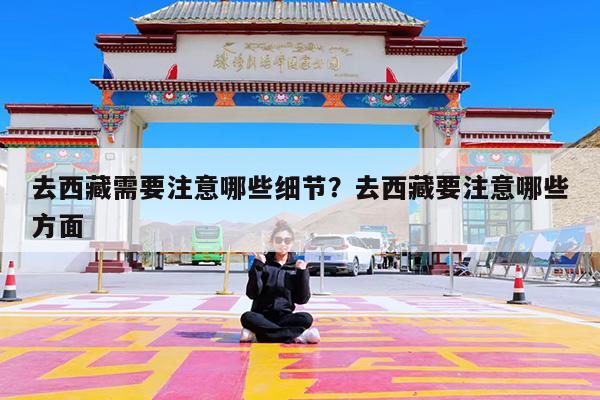 去西藏需要注意哪些细节?去西藏要注意哪些方面