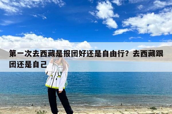 第一次去西藏是报团好还是自由行?去西藏跟团还是自己