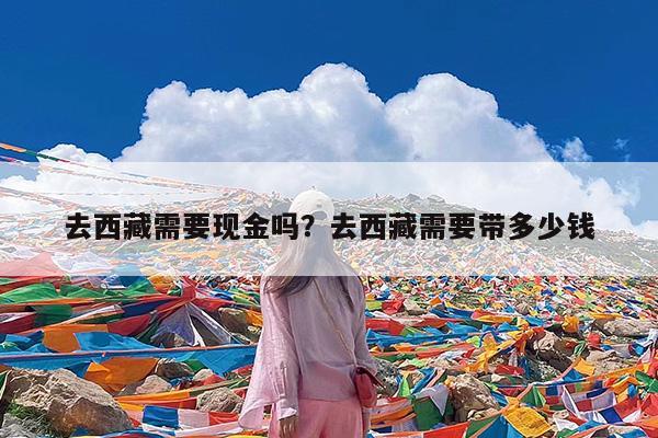 去西藏需要现金吗?去西藏需要带多少钱