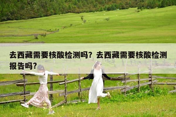 去西藏需要核酸检测吗?去西藏需要核酸检测报告吗?