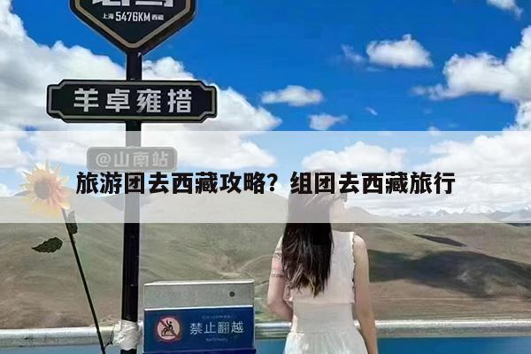 旅游团去西藏攻略?组团去西藏旅行
