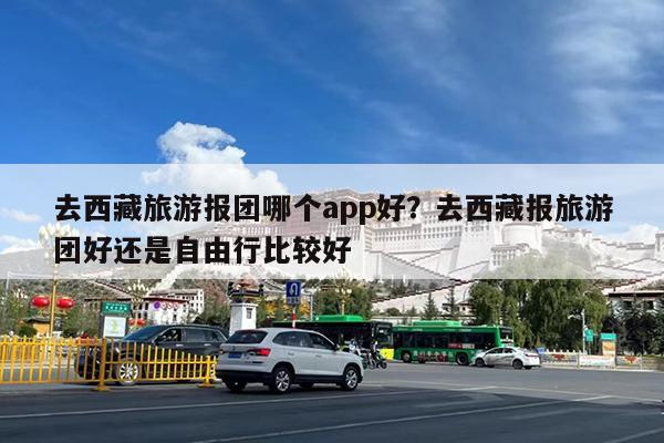 去西藏旅游报团哪个app好?去西藏报旅游团好还是自由行比较好