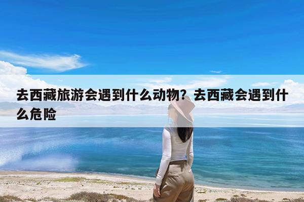 去西藏旅游会遇到什么动物?去西藏会遇到什么危险