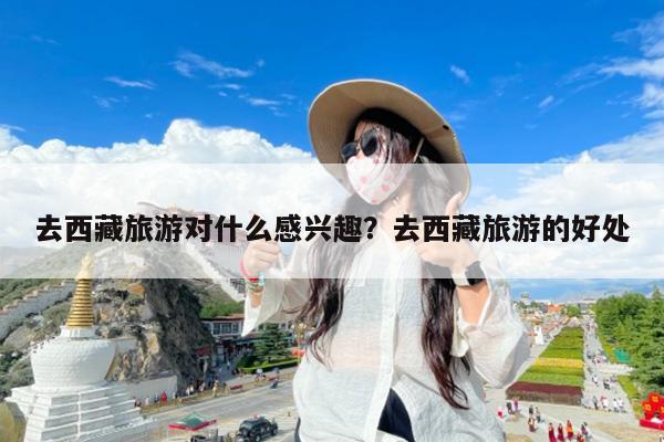 去西藏旅游对什么感兴趣?去西藏旅游的好处