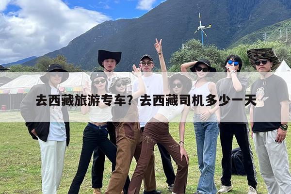 去西藏旅游专车?去西藏司机多少一天