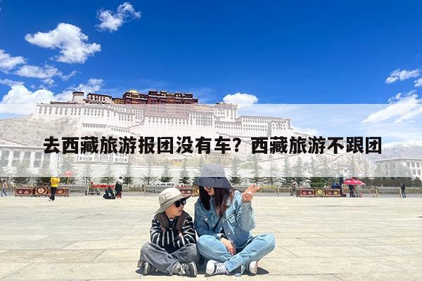 去西藏旅游报团没有车?西藏旅游不跟团