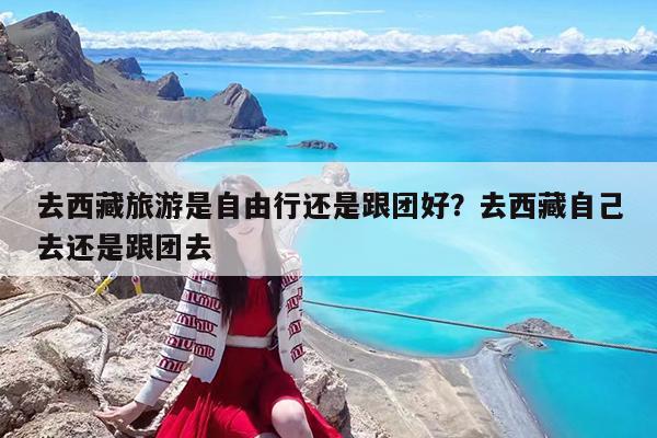 去西藏旅游是自由行还是跟团好?去西藏自己去还是跟团去