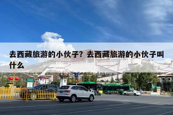 去西藏旅游的小伙子?去西藏旅游的小伙子叫什么