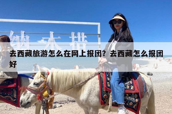 去西藏旅游怎么在网上报团?去西藏怎么报团好