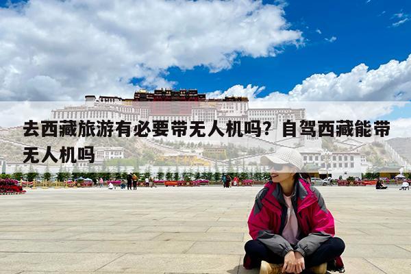 去西藏旅游有必要带无人机吗?自驾西藏能带无人机吗